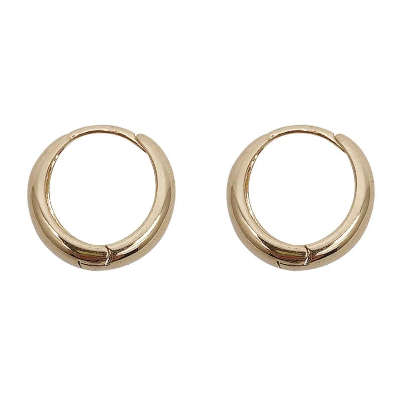 Fashion Metal Hoop Earrings for Women Simple Versatile Daily Wear Everyday Ear Accessories Young Girls Statement Jewelry